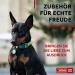 Waudog Adjustable Nylon Dog Collar for Large & Medium Dogs | 23-35 cm Length | 15 mm Width | Durable & Stylish Pet Accessory - Buy Online on GoSupps.com