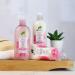 Dr Organic Guava Shampoo - Vitamin C - Natural & Vegan - Coloured Hair - Cruelty Free - Paraben & SLS Free - 265ml - Buy Online on GoSupps.com
