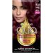 Garnier Hair Color Olia Ammonia-Free Brilliant Color Oil-Rich Permanent Hair Dye 4.62 Dark Garnet Red 1 Count (Packaging May Vary)