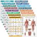 Exercise poster set: dumbbell suspension ballpool resistance straps medicine ball fighting rope stretching body weight barbell yoga gym muscle laminated 45.7 x 61 cm 16 pieces cm) laminated 18 "x 24"