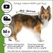 Buy Suitical Recovery Suit for Dogs - M+ Size in Black | Ideal Post-Surgery Pet Wear - International Shipping Available - Buy Online on GoSupps.com