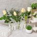 50 Pcs Floral Water Tubes with Rack Holder - Flower Vials for Milkweed Cuttings and Arrangements - Buy Online on GoSupps.com