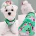 CUSOZWO Small Dog Clothes - 2 Pack Flower Dog Dress for Small Dogs and Cats - Elegant Spring Princess Skirt Outfit (M) - Buy Online on GoSupps.com