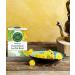 Organic Dandelion Leaf & Root Herbal Tea - Caffeine Free, 16 Wrapped Bags | Traditional Medicinals - Buy Online on GoSupps.com