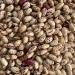 Cranberry Beans Borlotti Beans Romano Beans Non-GMO Product of Canada 2.5 kg (5.5 lb) - Buy Online on GoSupps.com