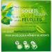 Lipton Th Vert Menthe Intense Go t Intens ment Frais & Subtil Label Rainforest Alliance 60 Sachets Lot de 3x20 Sachets 3 20 Unit (Lot de 3) - Buy Online on GoSupps.com