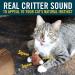 Interactive Cat Toy Set - Play-N-Squeak Barnyard Kitten Toys with Catnip & Real Sound | Cat Stocking Stuffer for Christmas - Buy Online on GoSupps.com