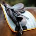 Equi-Flector Reflective Saddlecloth (17"-18" Orange) - Buy Online on GoSupps.com