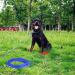 Dog Lace Cable Heavy Duty Dog Tie-Out Cable Chewing Resistant With 360 Swivel Lockable Hook Dog Lace Cable for Outdoor Use (3m Blue) - Buy Online on GoSupps.com