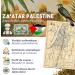 Nab r - 250gr Zaatar Palestinien 100% Naturelle Zatar Authentique Za'atar Palestine Sans Additifs - Buy Online on GoSupps.com