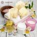 Almooni Mini Natural Loofah Sponge - Egyptian Shower Exfoliating Scrubber - Buy Online on GoSupps.com