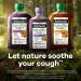 Children's Robitussin Naturals Cough + Sleep Supplement - 6.6 Oz Syrup - Buy Online on GoSupps.com