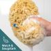 Tom & Pat Natural Bathing Sponge with Cord - Premium Quality 13-14 cm Shower & Peeling Sponge from Greece - Dermatest Rated Very Good - Buy Online on GoSupps.com