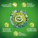 Garnier Exfoliating Brush - Gentle Skin Care Tool for Radiant Glow | International Shipping - Buy Online on GoSupps.com