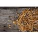 Big Tine Fortified Deer Blend 10lb - Premium Nutrition for Stronger Deer - Buy Online on GoSupps.com