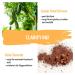 Clarify Me! Facial Mask - Red Clay & Caviar Lime for Smooth Radiant Skin - 50 ml | International Shipping Available - Buy Online on GoSupps.com