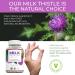 NUVIMI Milk Thistle 1000mg 120 Vegan Capsules - Liver Health Support with 80% Silymarin Extract - Buy Online on GoSupps.com