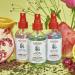 THAYERS Antioxidant Pomegranate Acai Facial Mist - 4 Ounce (Pack of 1) - Buy Online on GoSupps.com