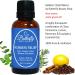 Robbers Relief 30mL - Compare to Thieves by Young Living | 5 Essential Oils Blend: Clove Cinnamon Lemon Rosemary Eucalyptus for Wellness - Buy Online on GoSupps.com