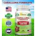 Caralluma Fimbriata 1200mg - 180 Capsules | Natural Weight Loss Diet Pill | Appetite Suppressant & Energy Booster | Max Strength Fat Burn | Plant Root Extract - Buy Online on GoSupps.com