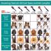 Hartz Groomer's Best Slicker Brush for Cats & Small Dogs - Detangles & Deshedding for All Coat Types - Buy Online on GoSupps.com