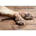 Dog Paw Balm for dry cracked paws - Natural and lick safe - Buy Online on GoSupps.com