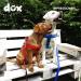 DDOXX Nylon Step-In Dog Harness - Adjustable XS Puppy Harness (Blue) - Perfect Fit for All Sizes - 1.0 x 32-44 cm - International Shipping Available - Buy Online on GoSupps.com