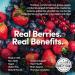 Country Farms Super Reds - Energizing Berry Polyphenol Superfood | 20 Servings - Buy Online on GoSupps.com