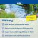 S ll 80380 Dr. Roth's Pond Clear - 500g Microbial Pond Cleaner & Algae Control for 10 000 Liters | Natural Water Treatment - Buy Online on GoSupps.com
