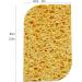 Precision Face Sponge for Gentle Exfoliation, Makeup Removal, and Cream Application - Buy Online on GoSupps.com
