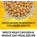 Beyond Simply Natural Dry Cat Food Farm-Raised Chicken & Whole Oat Meal - 2.72 kg Bag 2.72 kg (Pack of 1) - Buy Online on GoSupps.com