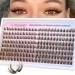 Buy Brown Lash Clusters Fluffy Eyelash Extensions 192pcs Wispy Cat Eye Lashes Left & Right Individual Lashes | International Shipping Available - Buy Online on GoSupps.com