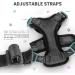 SOKANA Cat Harness and Lead Set for Walking Escape Proof - Lightweight Secure Kitten Harness and Lead Set also for Dogs Puppy Pet Small Size | Black - Buy Online on GoSupps.com