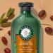 Herbal Essences Pure Plants Jojoba Oil Sulfate Free Conditioner Made for Air Drying Smoothing with Certified Camellia Oil and Aloe Vera For All Hair Types Especially Frizzy Hair 400 mL Unscented 400 ml (Pack of 1) - Buy Online on GoSupps.com