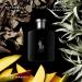 Ralph Lauren - Polo Black - Eau de Toilette - Men's Cologne - Woody & Fresh - With Patchouli Sandalwood and Mandarin - Medium Intensity 6.7 Fl Oz (Pack of 1) - Buy Online on GoSupps.com