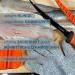 Finn Outdoors Filleting Knife Set - Stainless Steel Fishing Knife & Sharpener | Cut Protection Gloves (Orange) - Buy Online on GoSupps.com