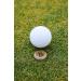 HODL 21 Bitcoin Golf Ball Markers - Value Pack of 10 for Men and Women Golfers | Hat Clip and Divot Tool Compatible | Bulk Lot Bitcoin Accessories - Buy Online on GoSupps.com