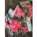 100 x Bubblegum Pink Neon Medium Length 80s Style Full Cover Nails & Glue | Fat Catz - 10 Sizes - Buy Online on GoSupps.com