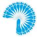 60 Pairs (120 feet) Blue Spray Tan Feet Pads for Sunless Tanning - Buy Online on GoSupps.com