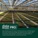 Gaia PRO Vitamin D3+K2 - Bone Health & Immune Support - 60 Capsules - Buy Online on GoSupps.com