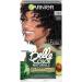 Garnier - Ammonia-Free Permanent Hair Color - 90% Natural Ingredients - Vegan Formula - Belle Color Naturals - Shade: Dark Ash Brown (3.1)