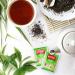 FITNE Green Tea Herbal Honey Lemon With Garcinia Senna Infusion Gentle Detox Cleanse High Antioxidant No Calories Stevia Sweetener 30 Tea Bags 30 Count (Pack of 1) - Buy Online on GoSupps.com