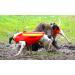 CANIHUNT Dog Protection Vest - Dog Armor v2 (65) | Premium Safety Gear for Your Dog - International Shipping Available - Buy Online on GoSupps.com