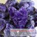 Rena Chris Amethyst Gua Sha Stein - 100% Natural Facial Tool for Jaw Shaping & Swelling Relief | Daily Skincare Set - Buy Online on GoSupps.com