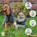 Elite Paws UK Luxury Microfibre Drying Robe for Pets - Super Absorbent Towelling Coat for Quick Drying (M - 40-48cm) - Buy Online on GoSupps.com