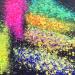 Buy 12 Color Holographic Cosmetic Glitter for Nail Body Face & Hair Decoration - Colorful Purple - International Shipping Available - Buy Online on GoSupps.com