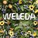 Weleda Skin Food Body Lotion - Parabens Free - 6.8 fl oz - Hydrating Body Lotion - Buy Online on GoSupps.com