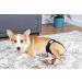 Hisprout Female Dog Diaper - Reusable Washable Durable Pants for XS Black Dogs | International Shipping Available - Buy Online on GoSupps.com