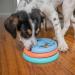 Outward Hound Puppy Lickin' Layers Puzzle Toy by Nina Ottosson - Buy Online on GoSupps.com