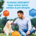Flonase Sensimist Allergy Relief Nasal Spray - Non-Drowsy Medication - 60 Gentle Mist Sprays - Buy Online on GoSupps.com